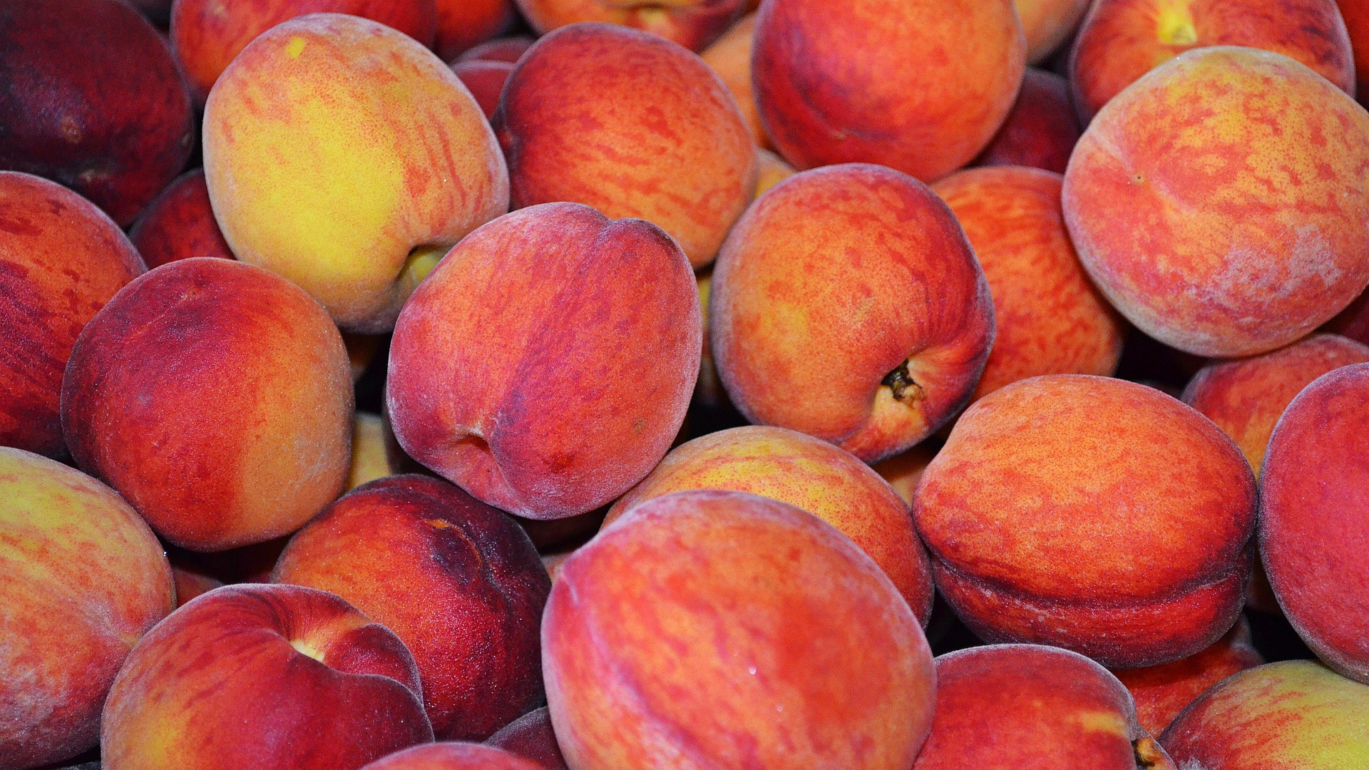 fruits pêches jaunes dans un palox
