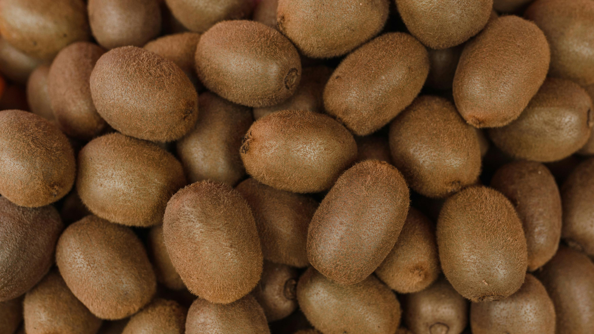 kiwis dans un palox