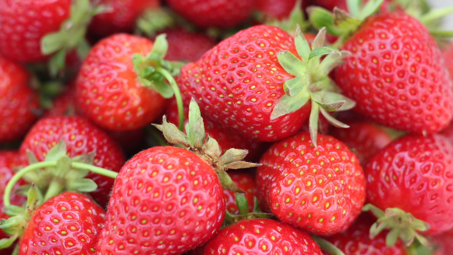 fraises mélangées dans une barquette