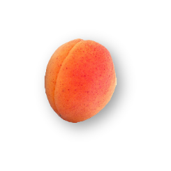 abricots locaux variété bergeval