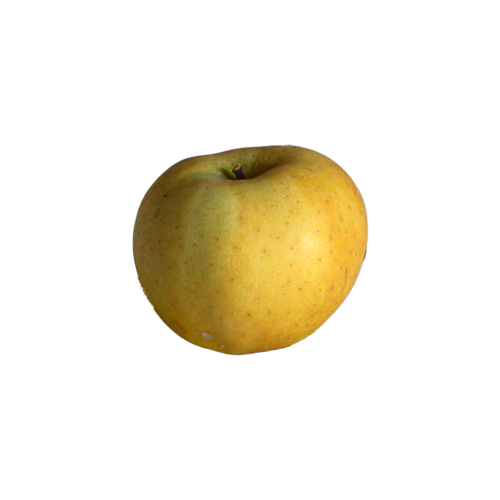 pomme belchard chanteclerc