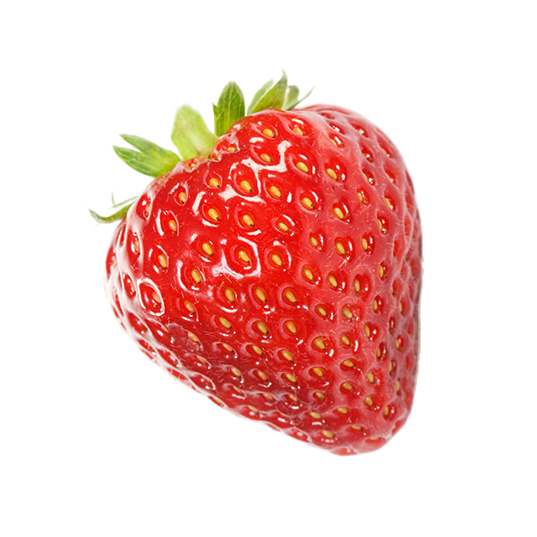 une fraise, variété dream