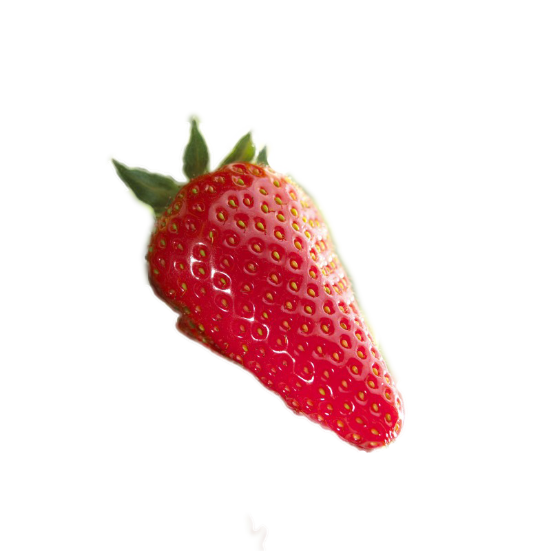 une fraise, variété duchesse