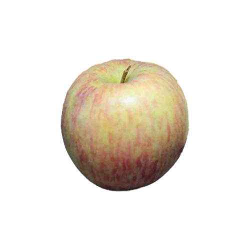 pomme fuji