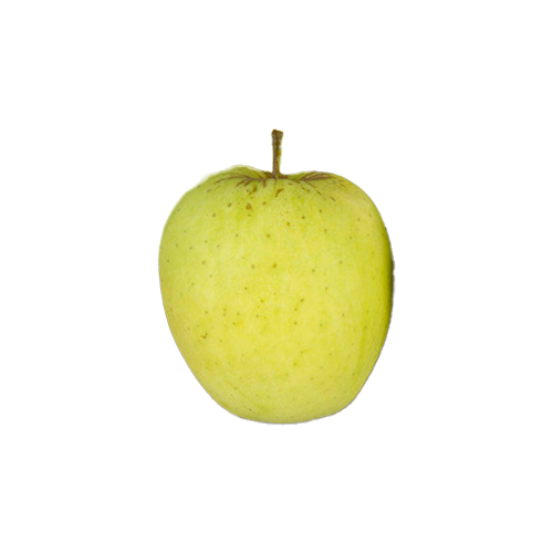 pomme golden