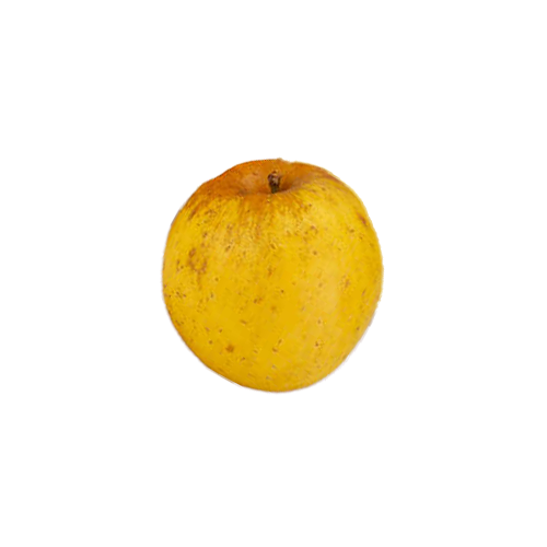 pommes opale