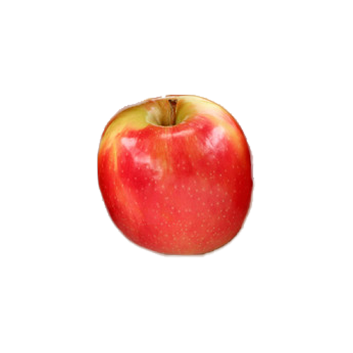 pomme pink cripps