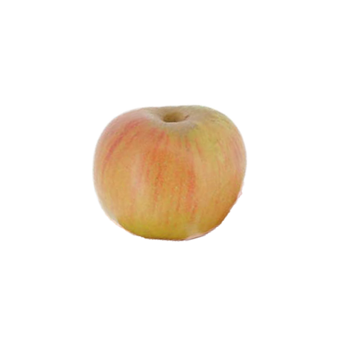 pommes reine des reinettes