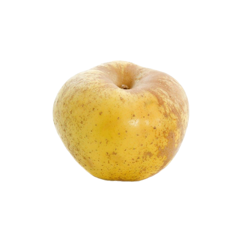 pomme canada blanche