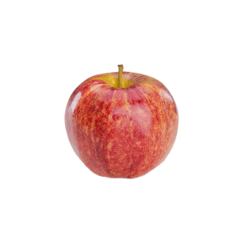 pomme royal gala