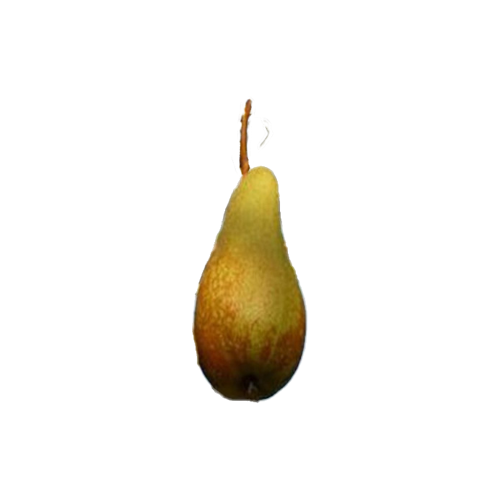 poire abbe fetel abate