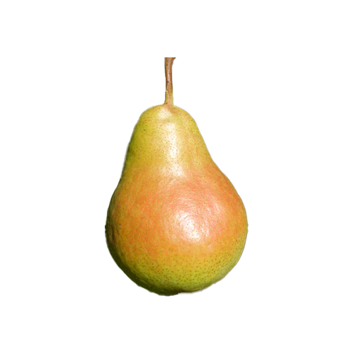 poires harrow sweet
