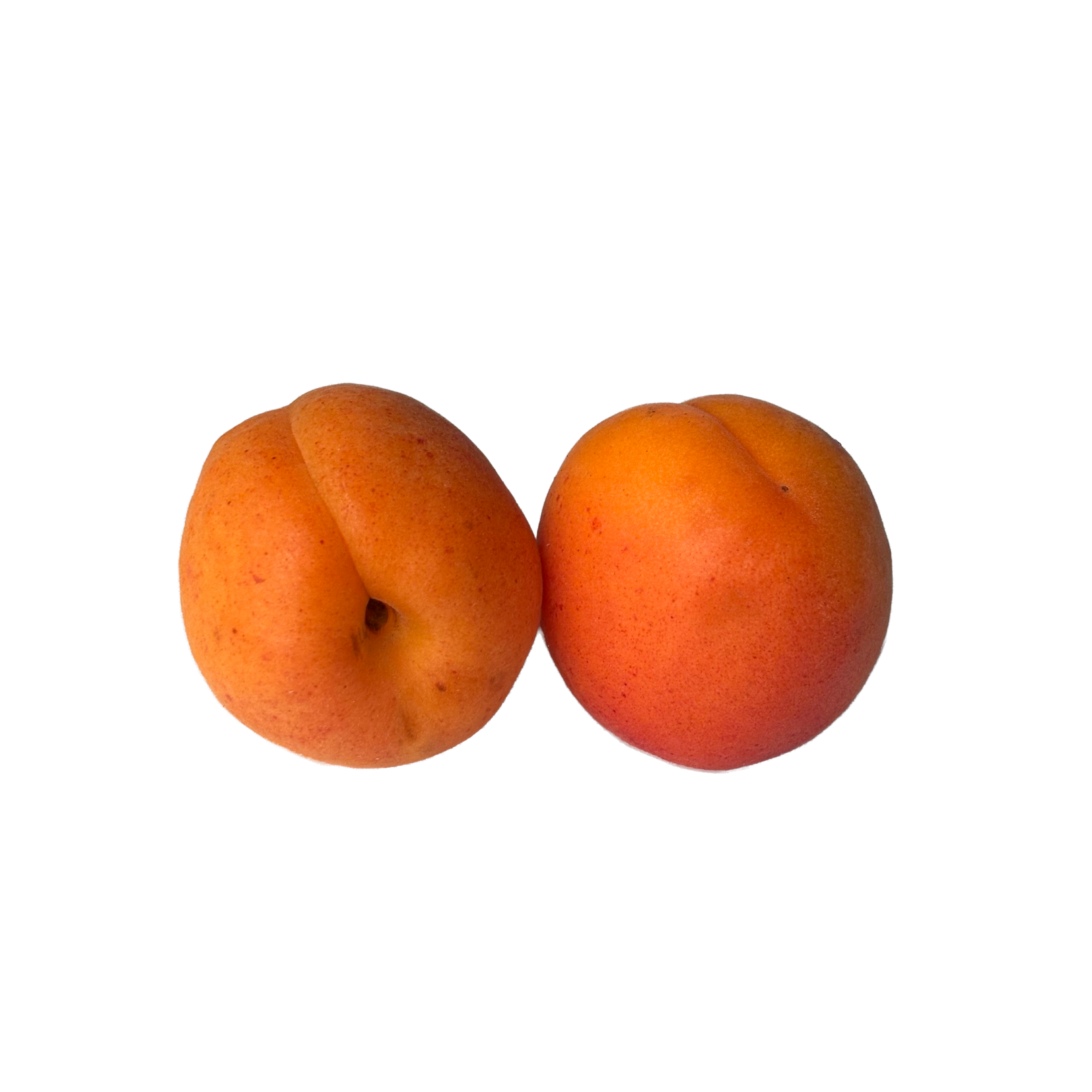 abricots locaux variété Colorado