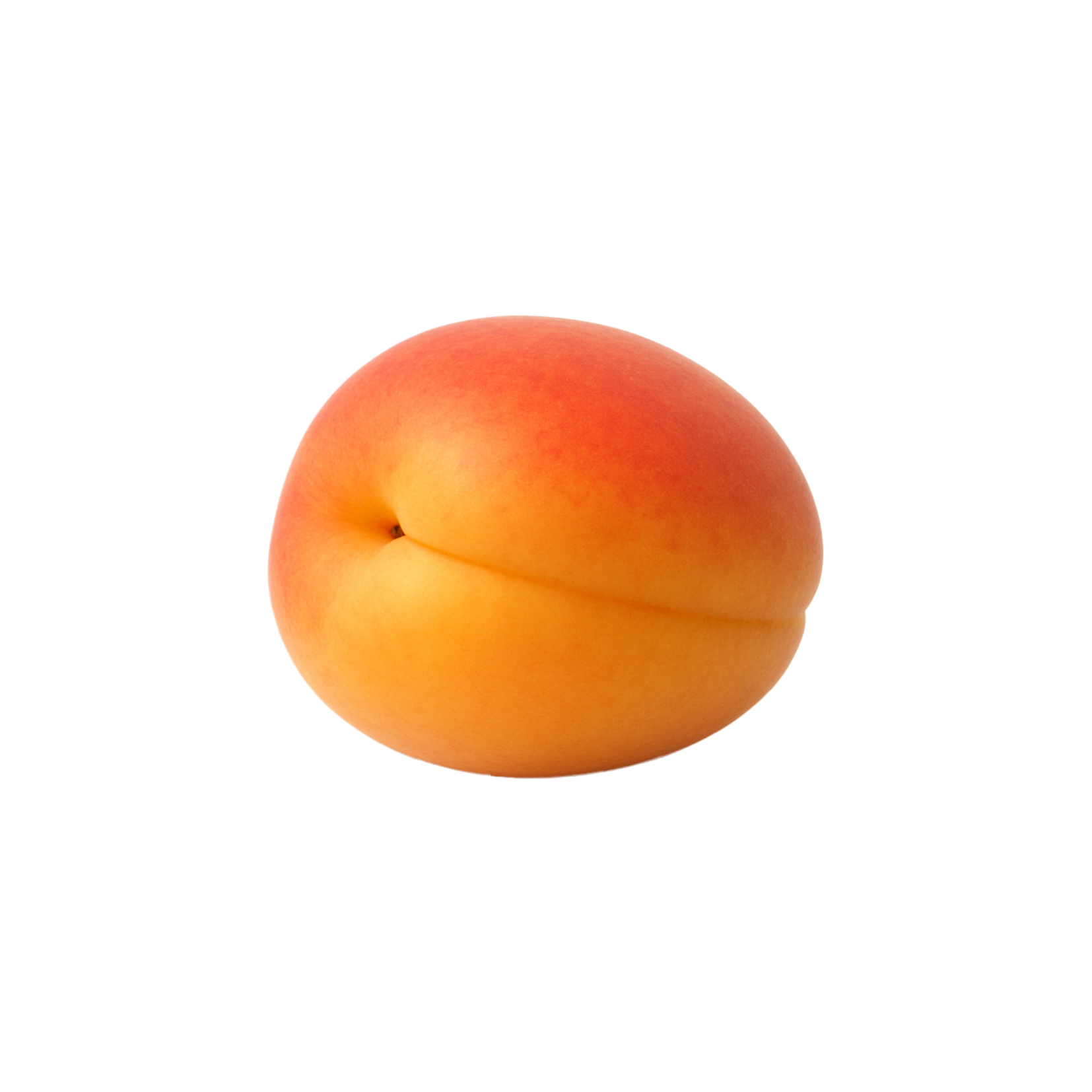 abricot variété fuego