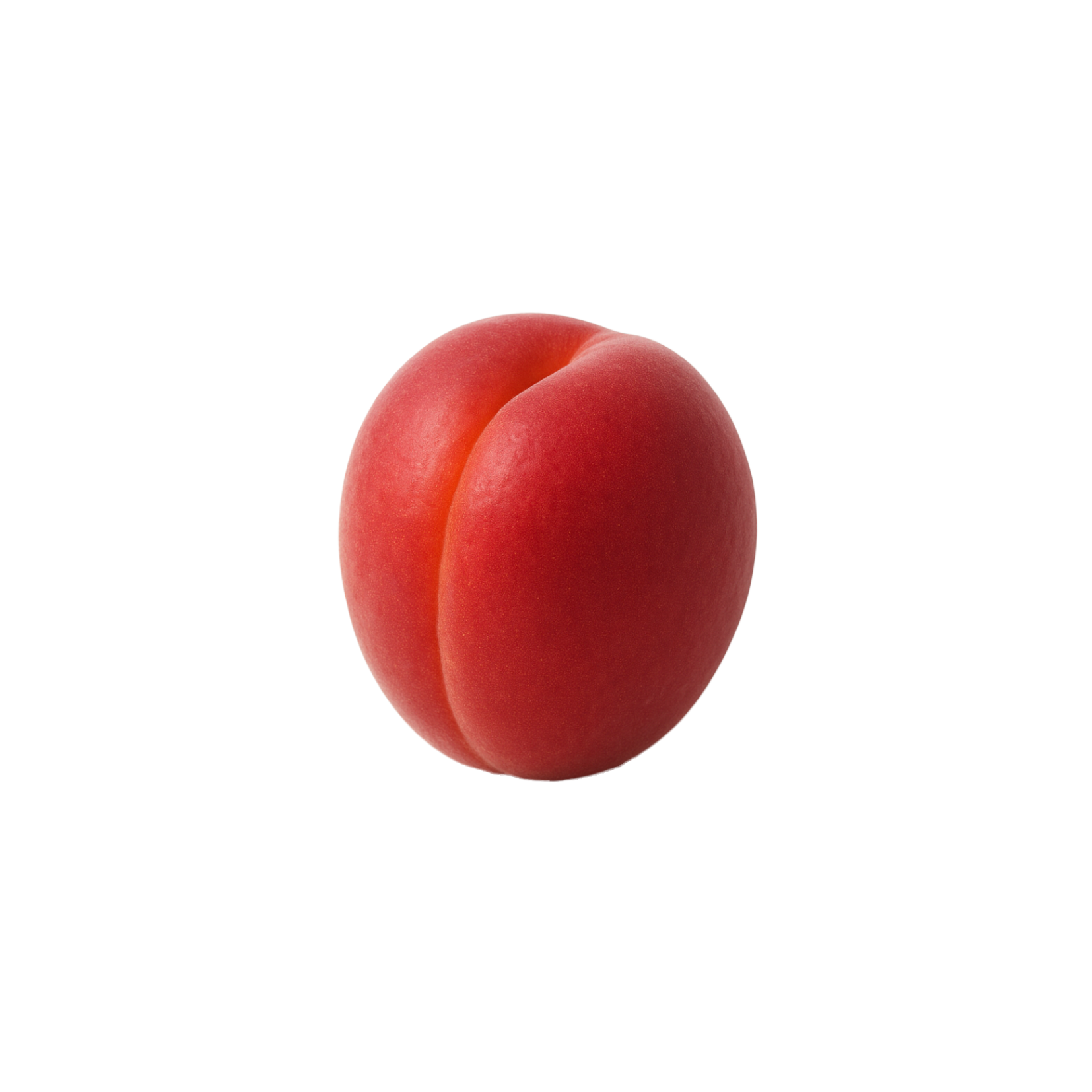 abricot variété rouge cot