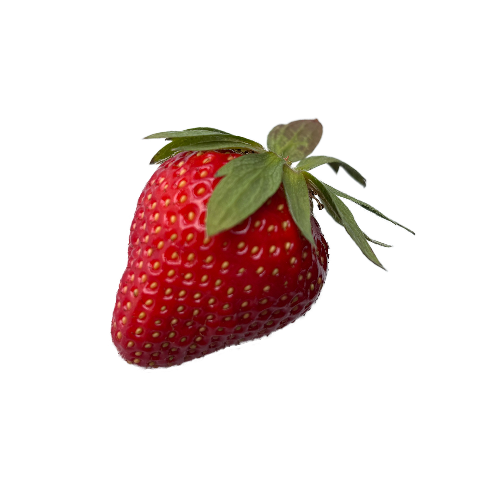 une fraise variété sibilla
