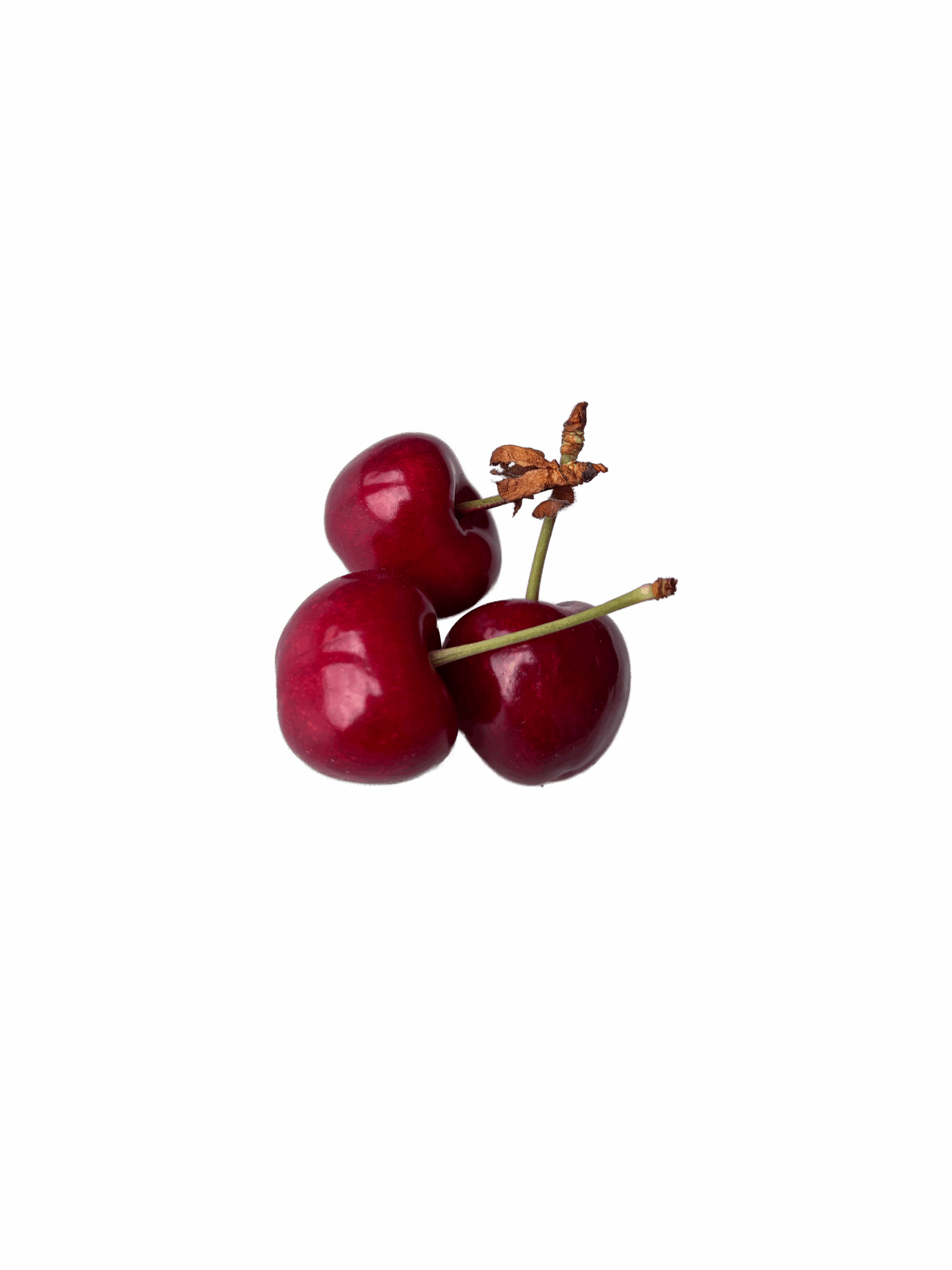 Cerises variété van